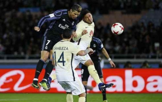 他们可以在 他们可以在