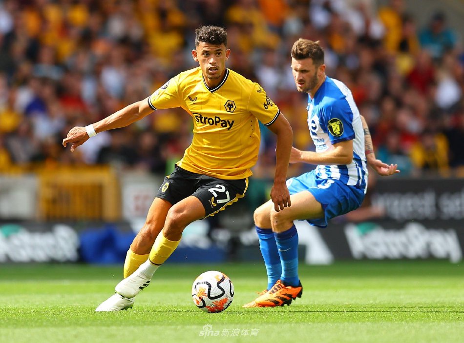 这样的安排 这样的安排